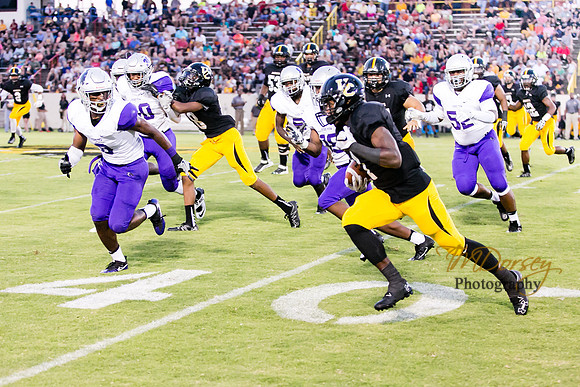 RVHS_2016-3895