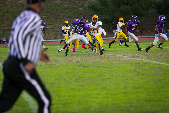 TMD_RVHS_wk8-3249