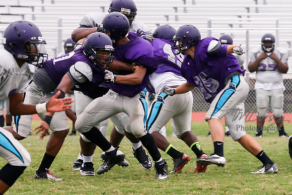 TMD_RVHS_2014-3733