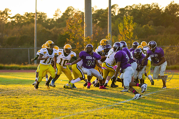 TMD_RVHS_wk8-3120