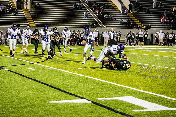 TMD_RVHS_wk6-9263