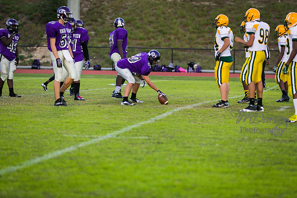 TMD_RVHS_wk8-3254