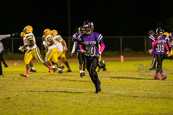 TMD_RVHS_wk8-3754