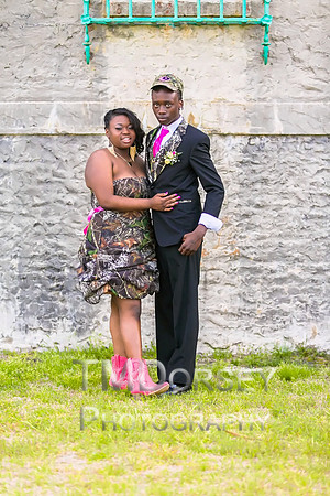 AHS_Prom_2014-1863_pc