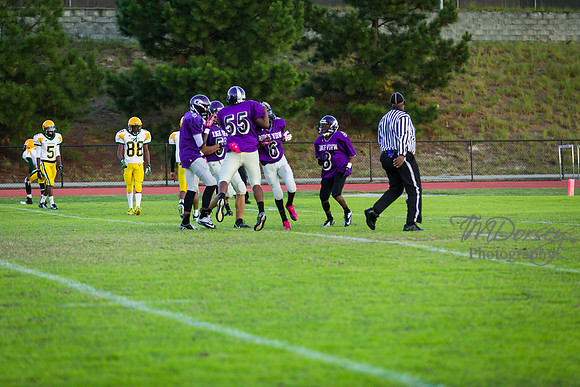 TMD_RVHS_wk8-3202