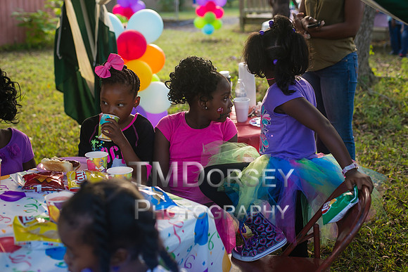 TMD_SKY-0931