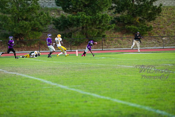 TMD_RVHS_wk8-3196