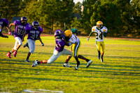 TMD_RVHS_wk8-3071