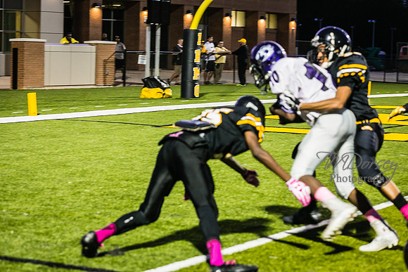 TMD_RVHS_wk6-9270