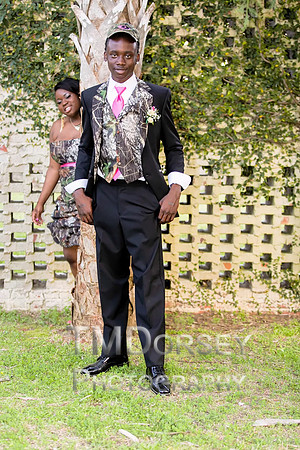 AHS_Prom_2014-1908_pc