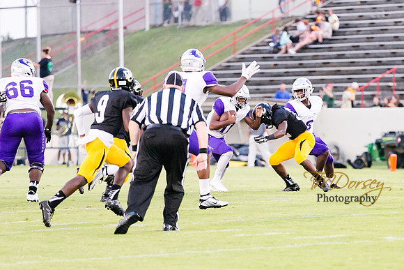RVHS_2016-3835