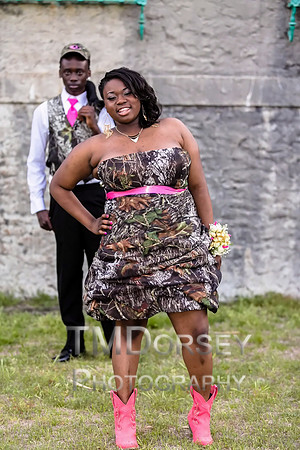 AHS_Prom_2014-1879_pc