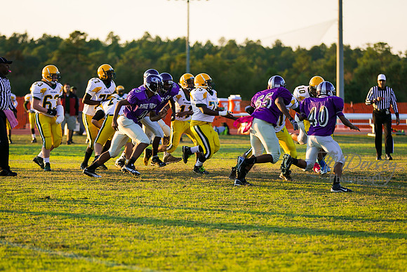 TMD_RVHS_wk8-3093