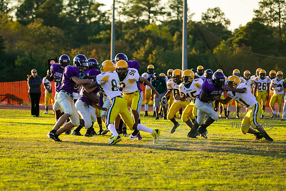 TMD_RVHS_wk8-3047