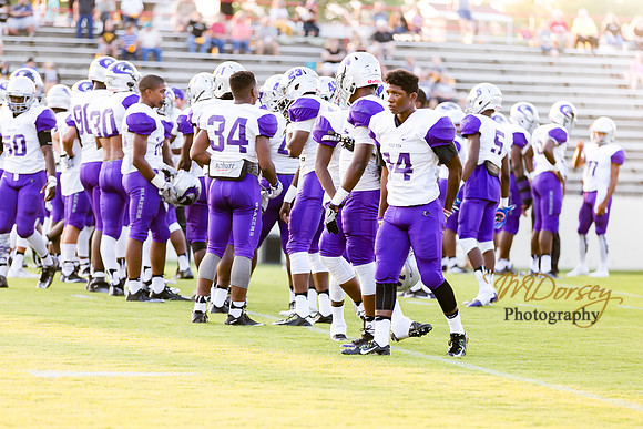 RVHS_2016-3795