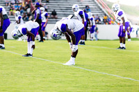 RVHS_2016-3799
