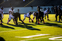 TMD_RVHS_wk6-8918