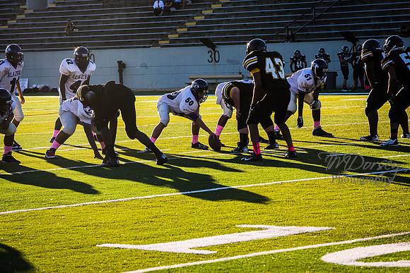 TMD_RVHS_wk6-8918