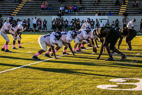 TMD_RVHS_wk6-8954
