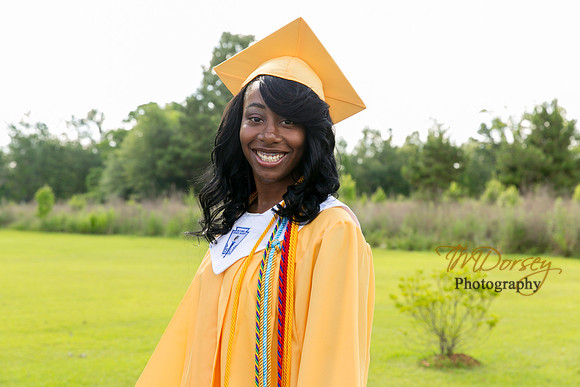 AHS_2015-1662