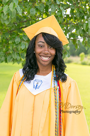 AHS_2015-1663