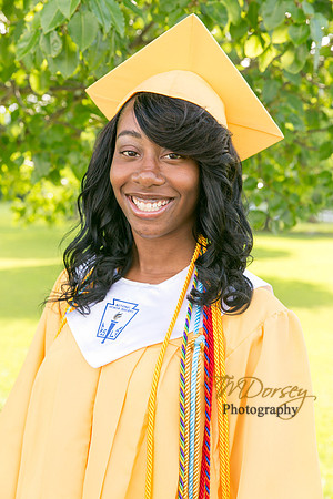AHS_2015-1664