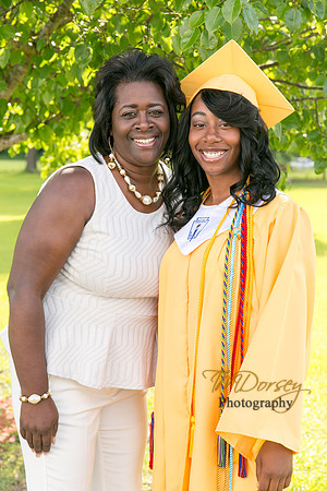 AHS_2015-1668