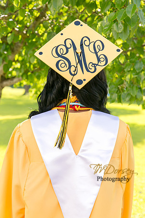 AHS_2015-1680