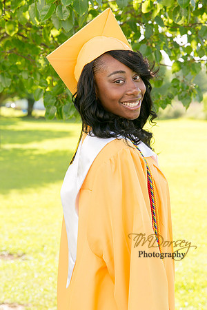 AHS_2015-1681