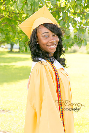 AHS_2015-1684