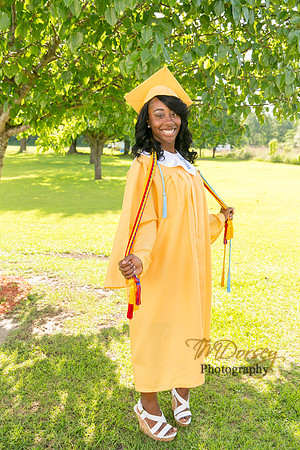 AHS_2015-1685