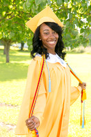 AHS_2015-1687