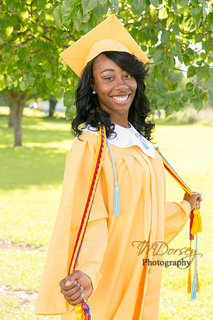 AHS_2015-1687