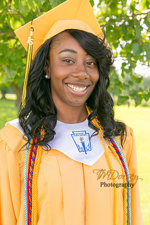 AHS_2015-1690