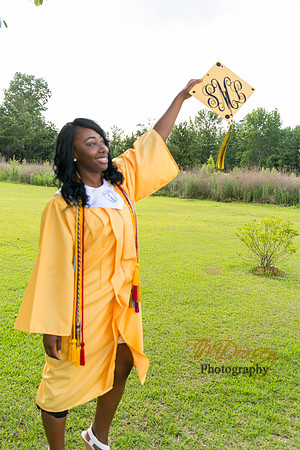AHS_2015-1697