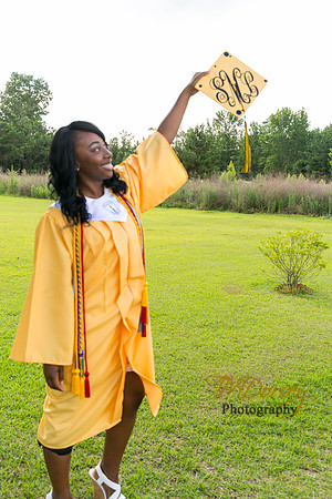 AHS_2015-1698