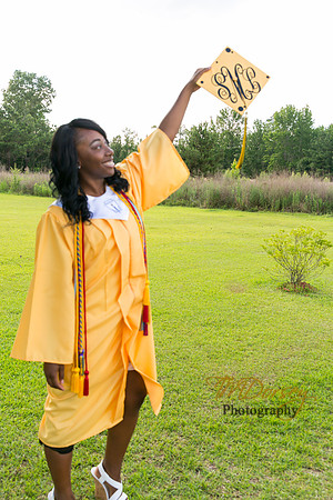 AHS_2015-1699