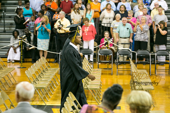 AHS_2015-1733