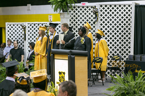 AHS_2015-1742