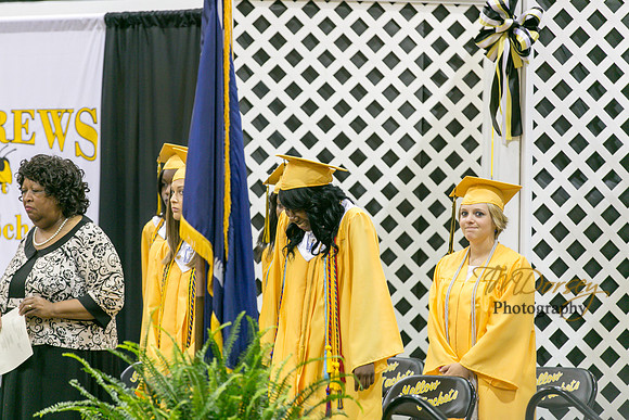 AHS_2015-1743