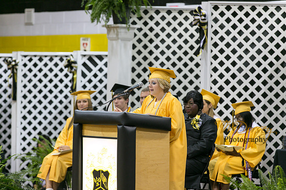 AHS_2015-1744