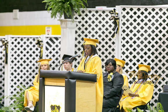 AHS_2015-1747