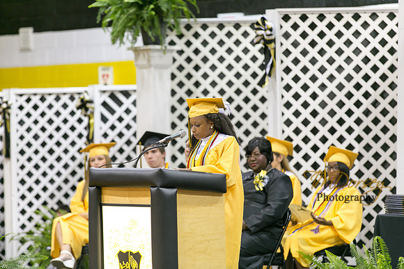 AHS_2015-1749