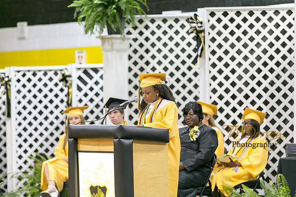 AHS_2015-1750