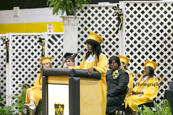 AHS_2015-1751