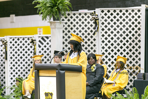 AHS_2015-1754