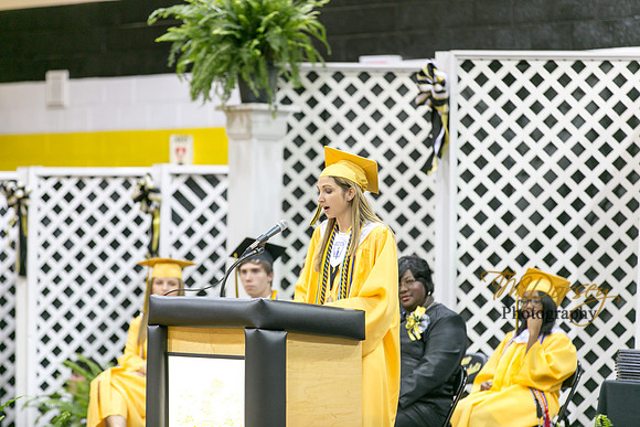 AHS_2015-1761