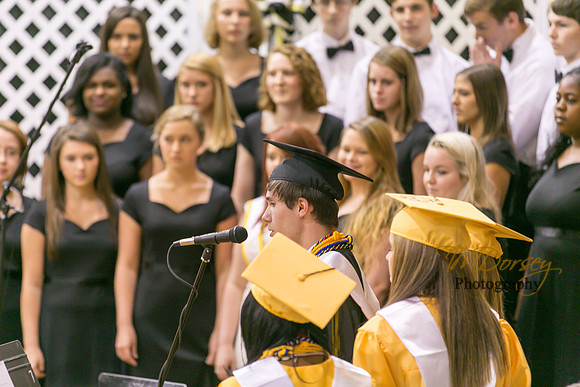 AHS_2015-1763