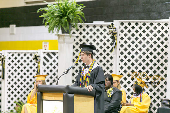AHS_2015-1767