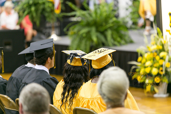 AHS_2015-1768
